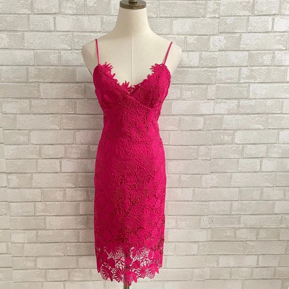 Bardot Dresses & Skirts - NWT Bardot Taylor Pink Lace Dress Size Medium 6